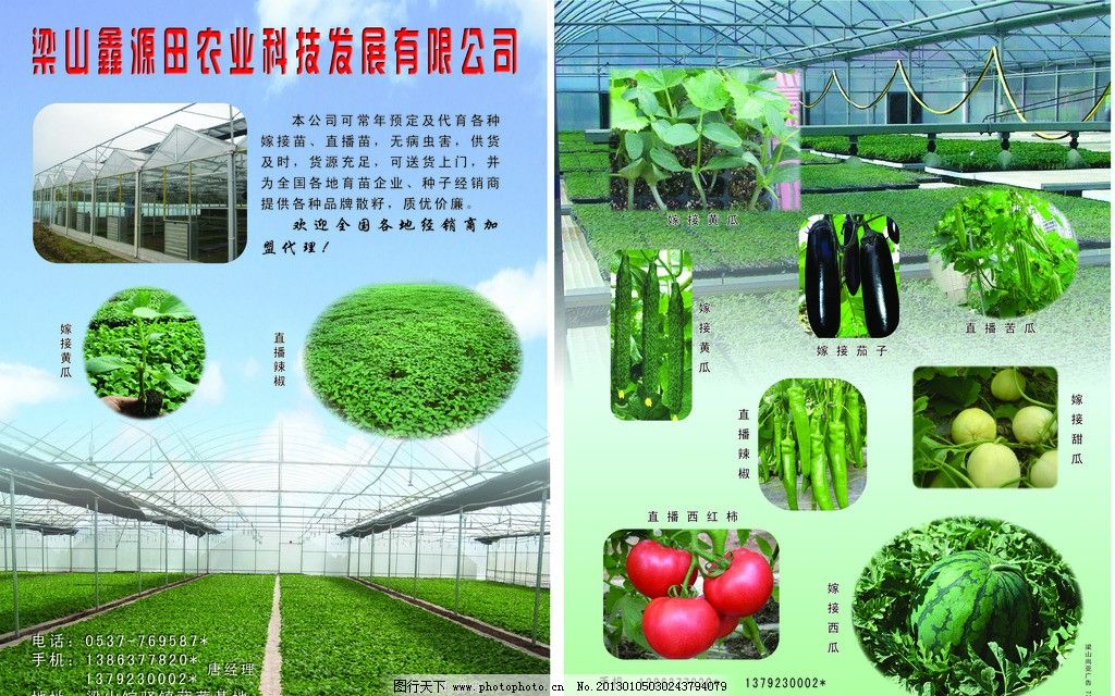 农业科技彩页 蔬菜 瓜果图片