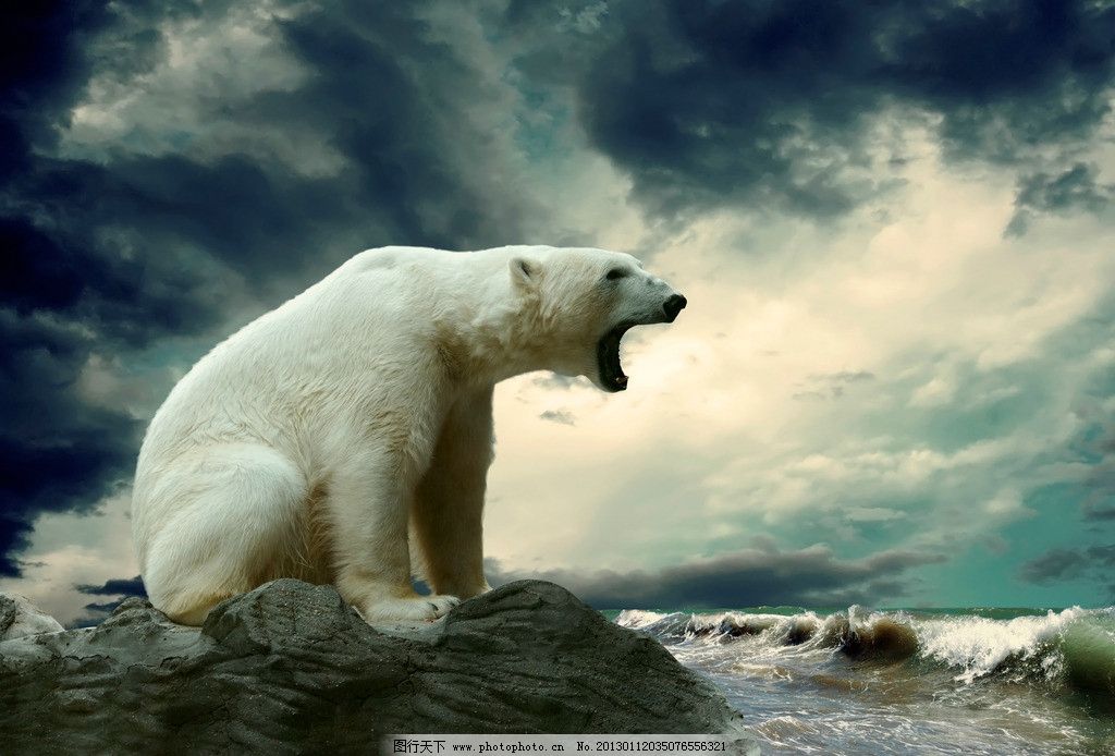 北极熊怒吼表情