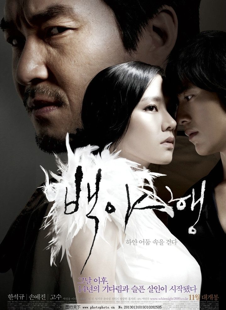 电影白夜行海报图片