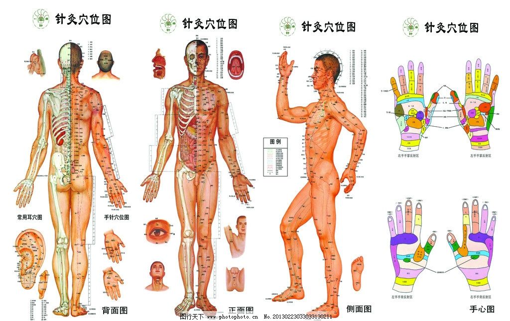 任脉穴位图,lols4ap打野天赋,欧美美女大尺度,美国休斯敦华裔一家4口被灭门