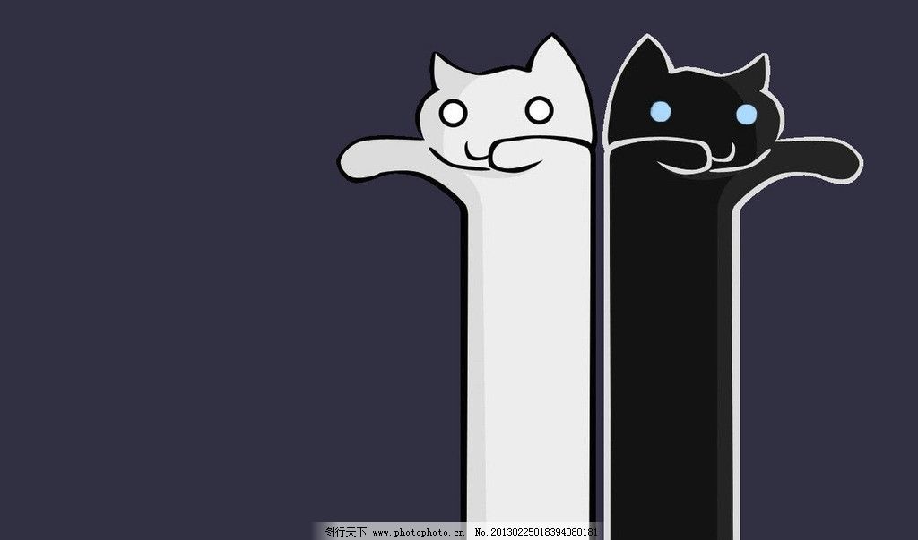 黑猫白猫图片
