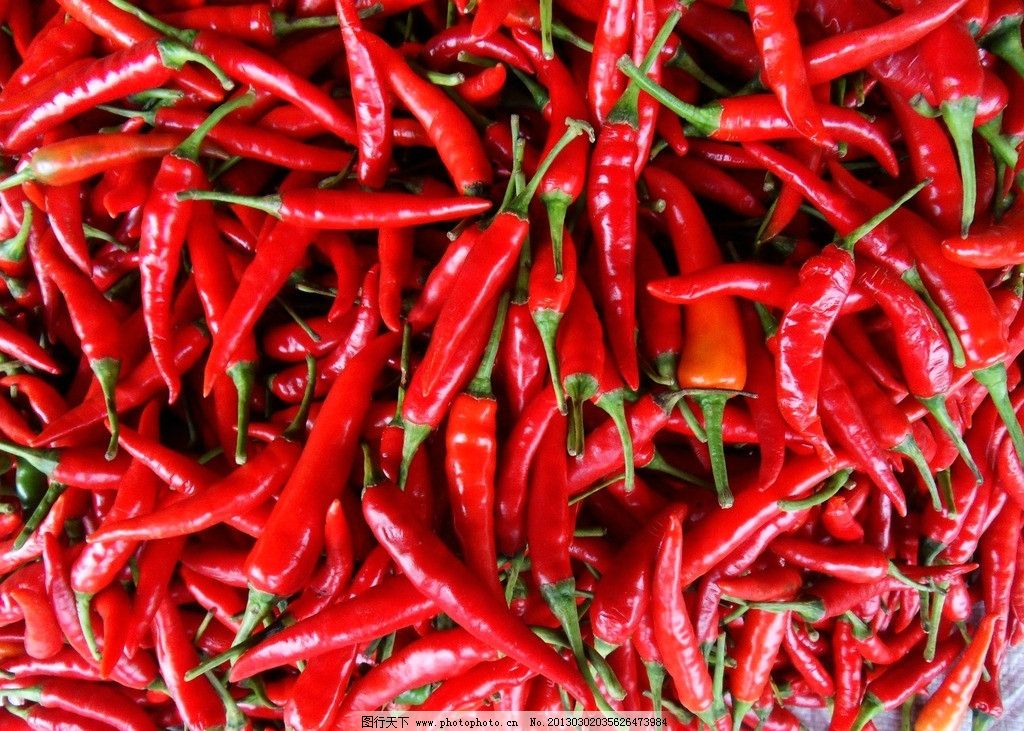辣椒红图片,食材 美食原料 蔬菜 生物世界 摄影