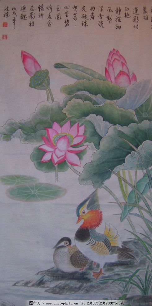 水彩国画 水墨画 国画 花 莲花 莲叶 水彩线描 鸳鸯 绘画书法 文化图片