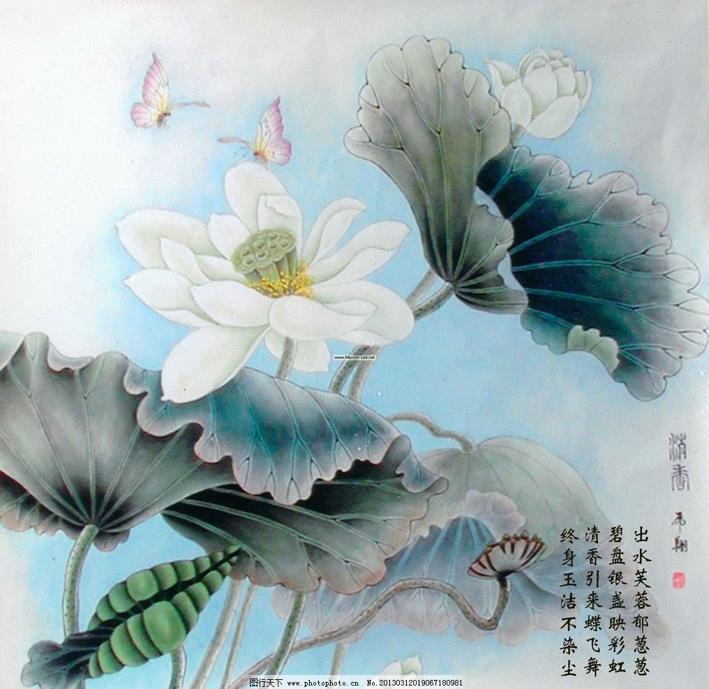 蜻蜓戏荷 蜻蜓 荷花 莲花 国画 水墨画 绘画书法