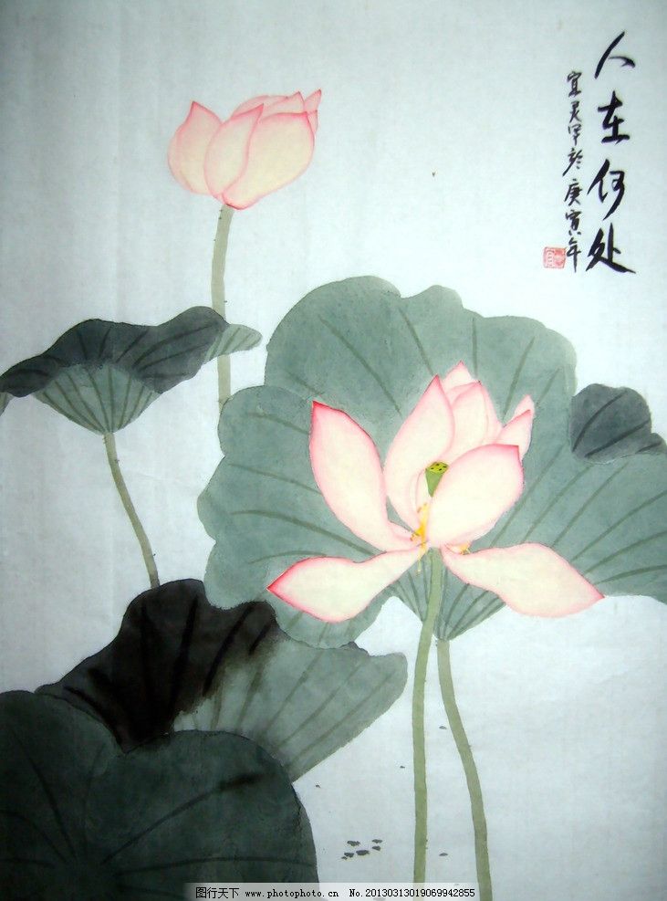 水彩国画 水墨画 国画 花 莲花 莲叶 水彩线描 绘画书法 文化艺术图片