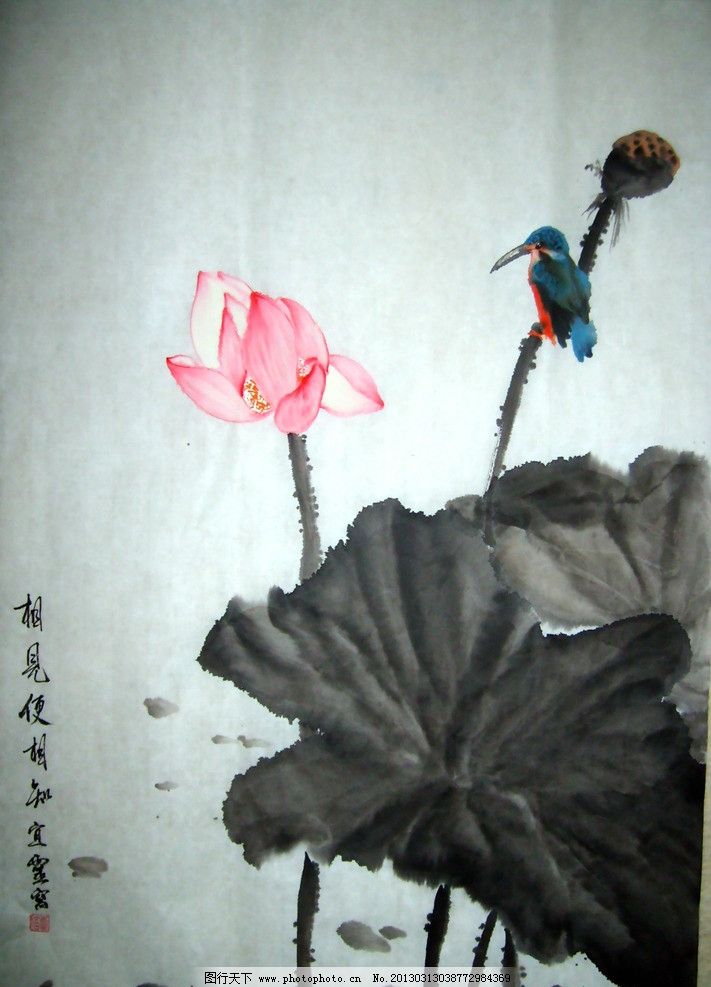 水墨画 国画 花 莲花 莲叶 莲蓬 水彩线描 小鸟 美术绘画 文化艺术