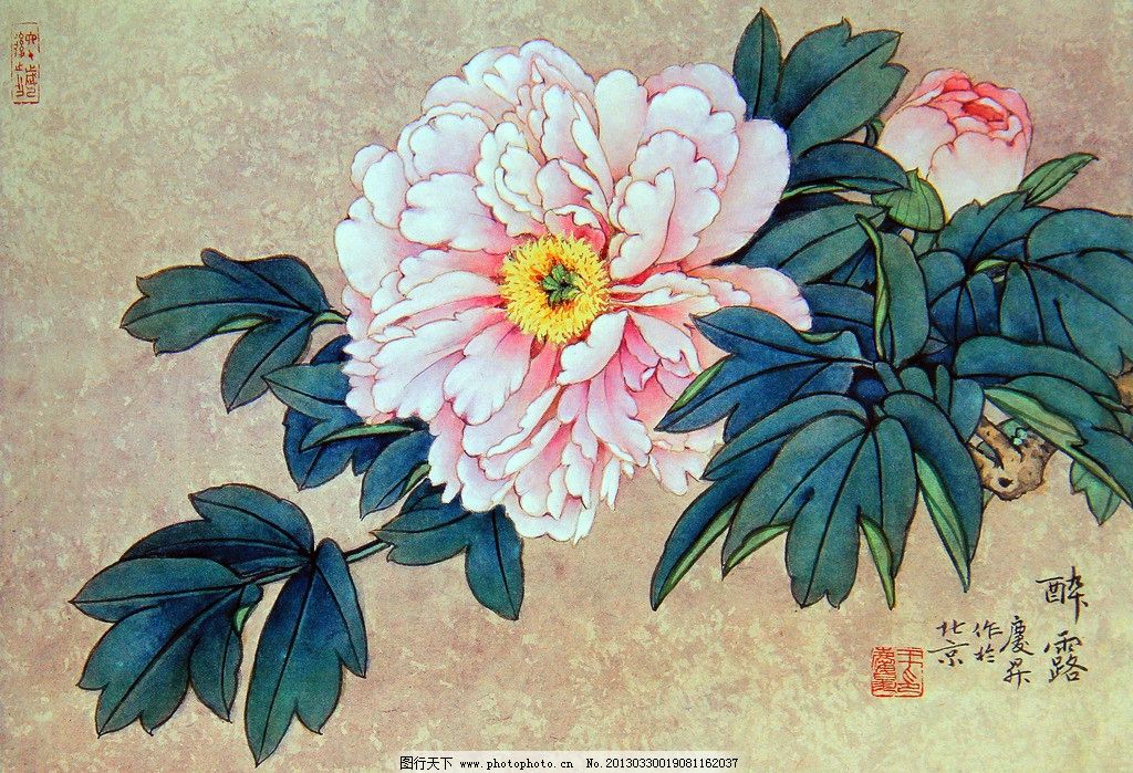 工笔牡丹 牡丹图 牡丹花 中国画 工笔画 手绘牡丹作品 工笔花鸟 花鸟