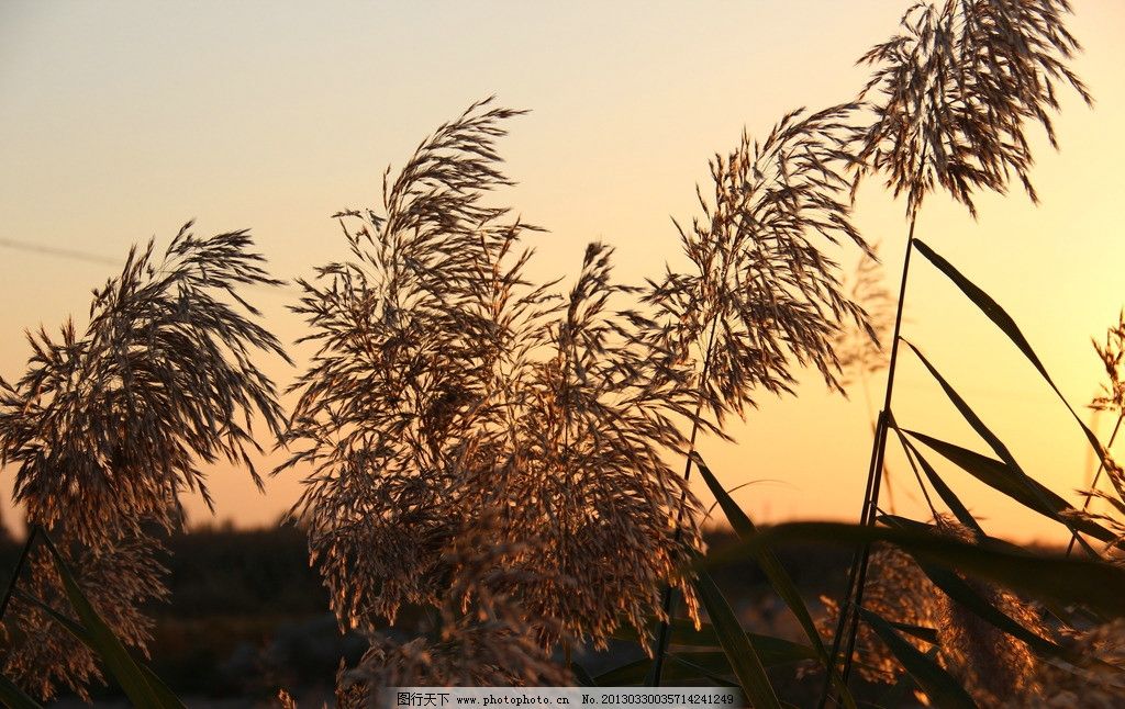省政府与中国邮政储蓄银行谈判 王俊寿芦苇到会